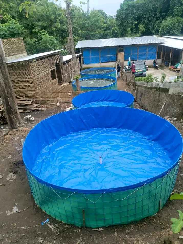 Kolam Terpal Cocok Untuk Petani Ikan Yang Membutuhkan